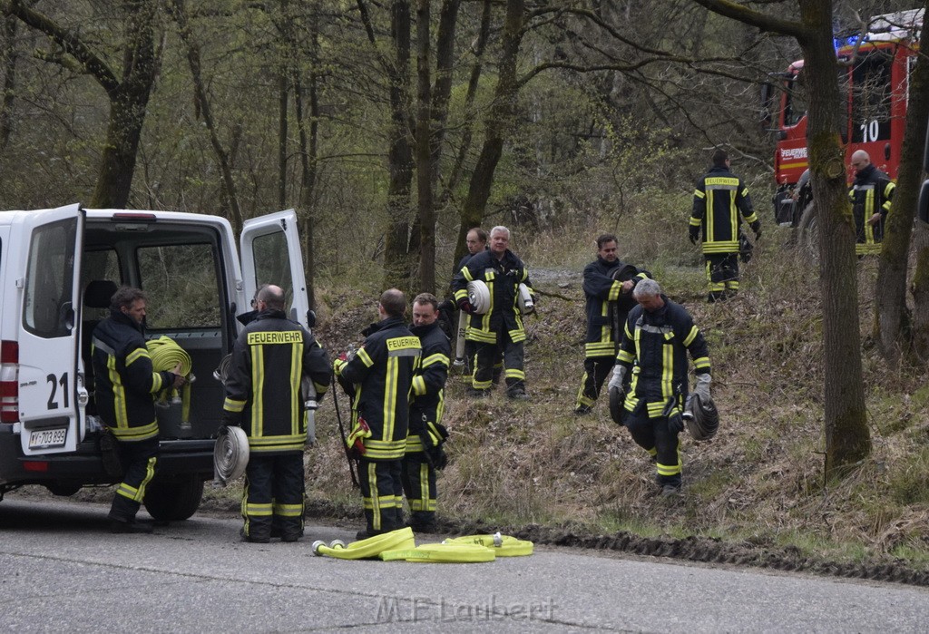 Waldbrand Wahner Heide Troisdorf Eisenweg P434.JPG - Miklos Laubert